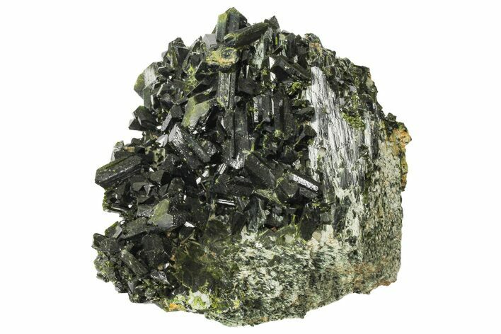 Lustrous, Epidote Crystal Cluster on Actinolite - Pakistan #164843